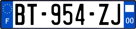 BT-954-ZJ