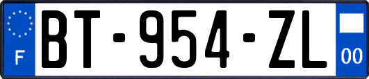 BT-954-ZL