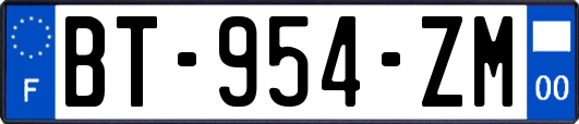 BT-954-ZM