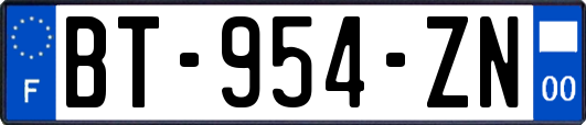 BT-954-ZN
