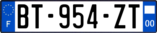 BT-954-ZT