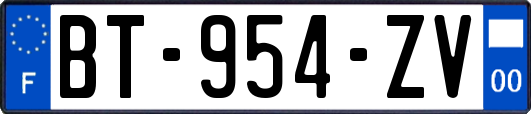 BT-954-ZV