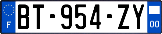 BT-954-ZY