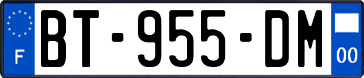 BT-955-DM