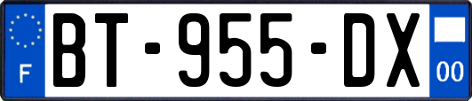 BT-955-DX