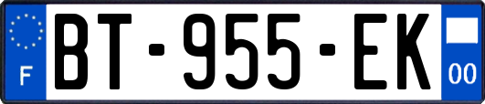 BT-955-EK