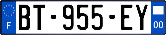 BT-955-EY