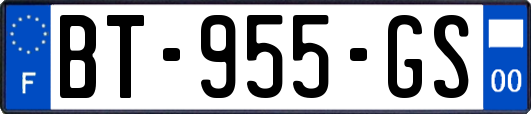 BT-955-GS