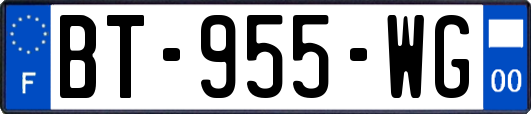 BT-955-WG