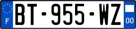 BT-955-WZ