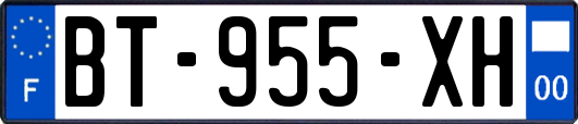 BT-955-XH