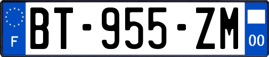 BT-955-ZM