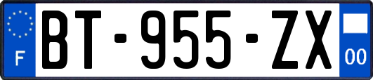 BT-955-ZX