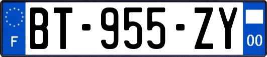 BT-955-ZY