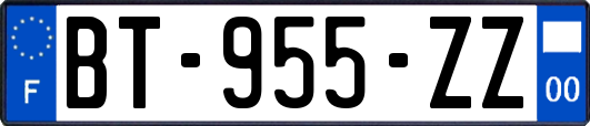 BT-955-ZZ