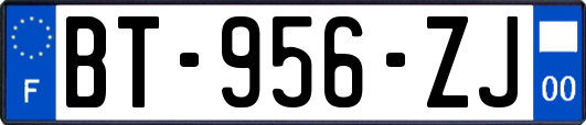 BT-956-ZJ