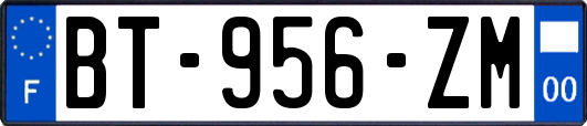 BT-956-ZM