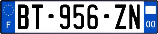 BT-956-ZN