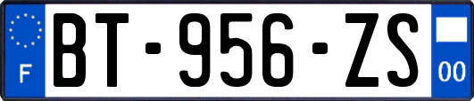 BT-956-ZS