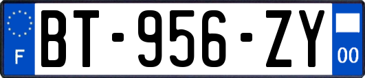 BT-956-ZY
