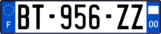 BT-956-ZZ