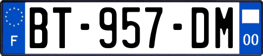 BT-957-DM