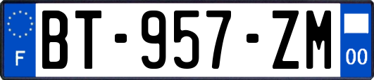 BT-957-ZM