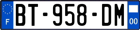 BT-958-DM