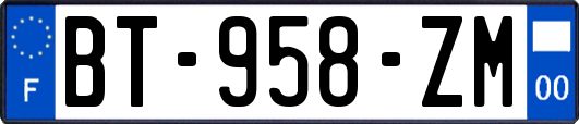 BT-958-ZM