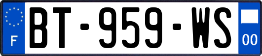 BT-959-WS