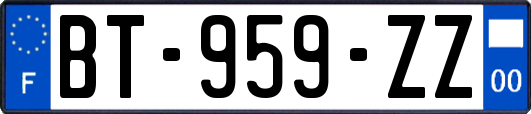 BT-959-ZZ