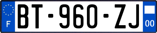 BT-960-ZJ