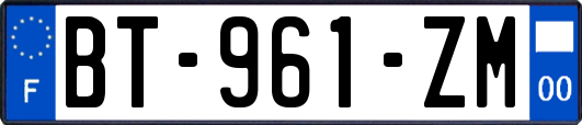 BT-961-ZM