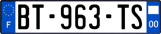 BT-963-TS