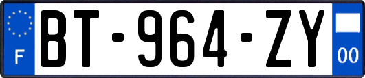 BT-964-ZY