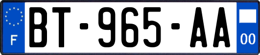 BT-965-AA