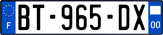 BT-965-DX