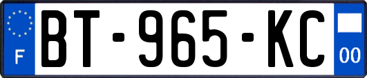 BT-965-KC