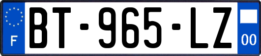 BT-965-LZ