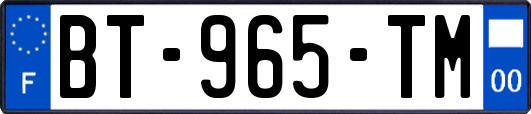 BT-965-TM