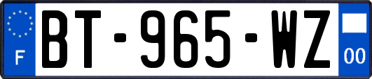 BT-965-WZ