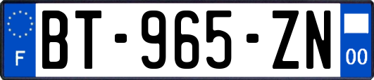 BT-965-ZN