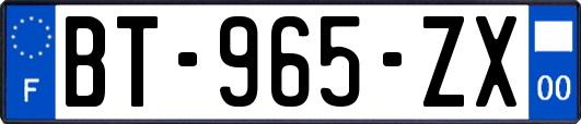 BT-965-ZX