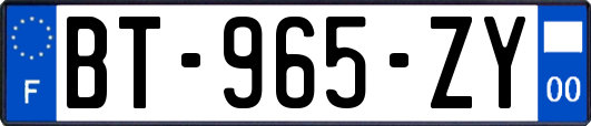 BT-965-ZY