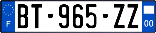 BT-965-ZZ