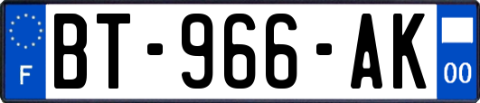 BT-966-AK