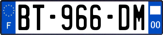 BT-966-DM