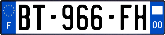 BT-966-FH