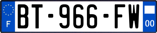 BT-966-FW