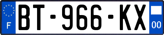 BT-966-KX